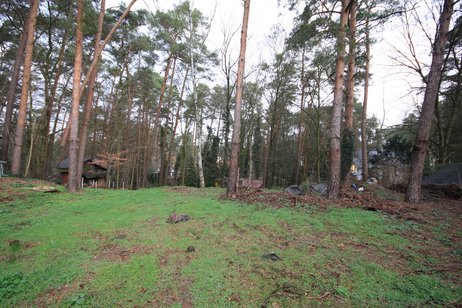 Großzügiges Baugrundstück in beliebter Lage von Schönwalde-Glien