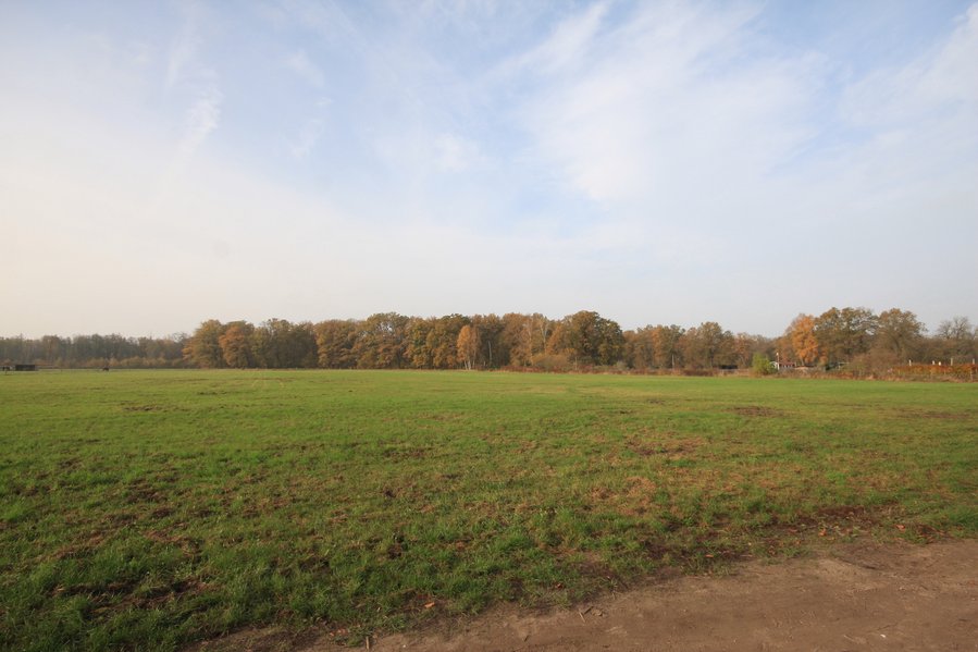 An der beliebten Rehwiese! Traumgrundstück direkt am Feld mit herrlichem Weitblick